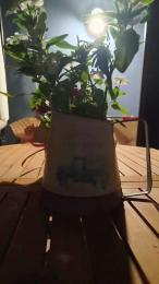 Max_Max_2205_M — Cam4 stream photo (Jul 2026)