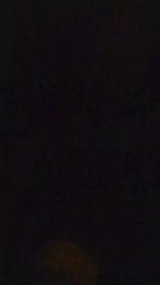 axelblows — Cam4 profile photo