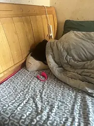 goudanlove — Stripchat stream photo (Apr 2026)