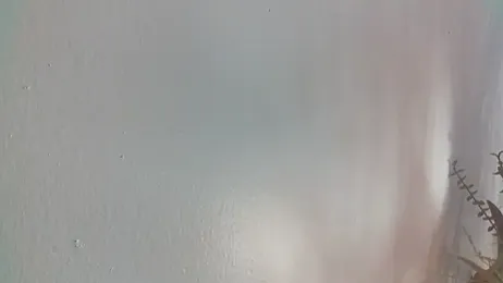 nastydianastrips — Stripchat stream photo (Sep 2026)