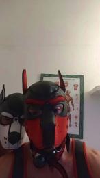MastermitFaggot — Cam4 stream photo (Sep 2026)