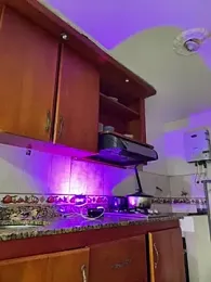 Ambarhilton — Stripchat stream photo (Feb 2026)