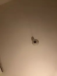 SophiiaStarr — вебкам-модель онлайн на stripchat