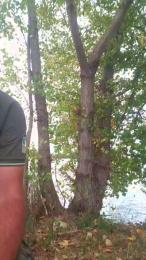 odidonc — Cam4 stream photo (Aug 2026)