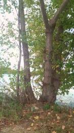 odidonc — Cam4 stream photo (Aug 2026)