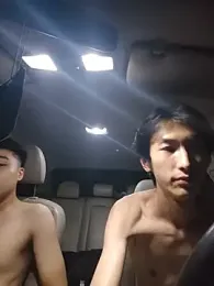 wangshuais — Stripchat stream photo (Aug 2026)