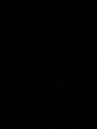 Phoenixxxx01 — Stripchat stream photo (Feb 2026)