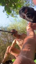 crisvers81 — вебкам-модель онлайн на cam4