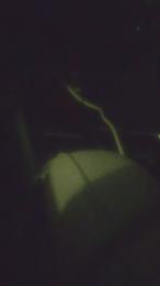 manhegotit — Cam4 stream photo (Apr 2026)