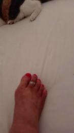 Ros6 — Cam4 stream photo (Sep 2026)