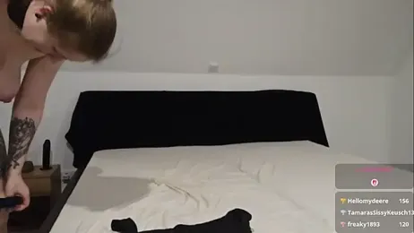 JulX_Devot — Stripchat stream photo (Feb 2026)