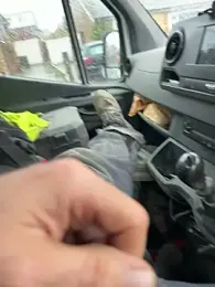 boredcock77 — Stripchat stream photo (Nov 2025)