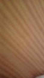 Trompa17 — Cam4 stream photo (Feb 2026)