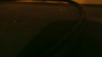 cpterra — Cam4 stream photo (Mar 2026)