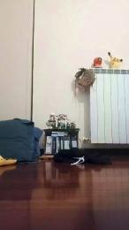 gabbus — вебкам-модель онлайн на cam4