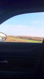 Gerontofilia — Cam4 stream photo (Mar 2026)