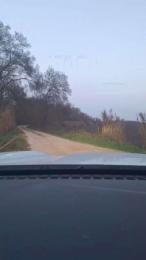 Gerontofilia — Cam4 stream photo (Feb 2026)