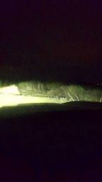 Gerontofilia — Cam4 stream photo (Feb 2026)