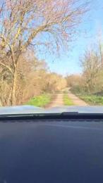 Gerontofilia — Cam4 stream photo (Mar 2026)