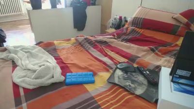 BerlinerTeddy — Cam4 stream photo (May 2026)
