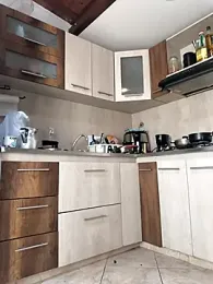 shelby_kutter — Stripchat stream photo (Mar 2026)