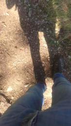 wolfi80 — вебкам-модель онлайн на cam4