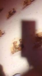 Dddd564 — Cam4 stream photo (May 2026)