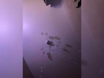 Redfoxygirl — bongacams