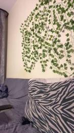 bravo_maestro — Cam4 profile photo