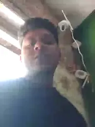 sailord — Stripchat profile photo