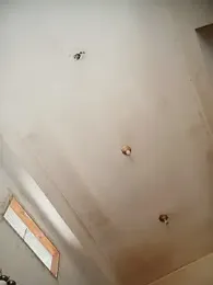 1El_King1 — Stripchat stream photo (Apr 2026)