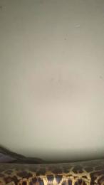 Dickfitswell68 — Cam4 stream photo (Apr 2026)