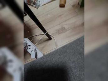 LOVELYTWINS — Bongacams stream photo (Sep 2026)