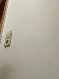 derbyo — Stripchat profile photo