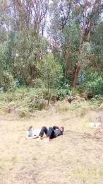 _noahdiaz — Cam4 stream photo (Mar 2026)