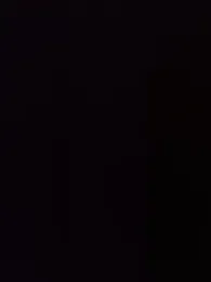 forfuntr — Stripchat stream photo (Aug 2026)