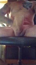 risu77 — Cam4 stream photo (Aug 2026)