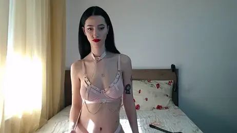 MollyVass — Stripchat stream photo (Feb 2025)