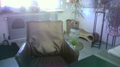 lefty99 — Cam4 stream photo (Apr 2026)