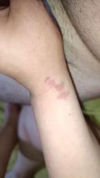 Lafigona — Cam4 stream photo (Apr 2026)