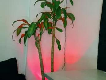 mariaa_paulaa — Chaturbate stream photo (Feb 2026)