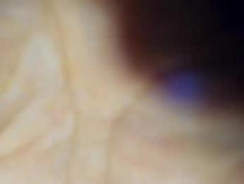 yourlovelyjenny — chaturbate