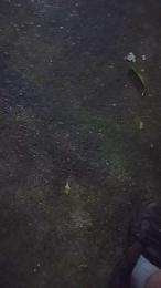 hardsexlove08 — вебкам-модель онлайн на cam4