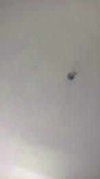 abel262 — вебкам-модель онлайн на cam4