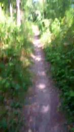 saarman33 — Cam4 stream photo (Jul 2026)