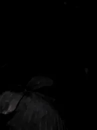 yogs_k90 — Stripchat stream photo (May 2025)