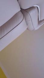 Porcellone1969 — Cam4 stream photo (Feb 2026)