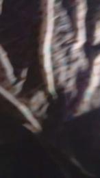 vale860 — вебкам-модель онлайн на cam4