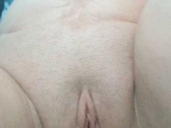 korolek50 — Bongacams stream photo (Apr 2026)