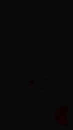 ccere2 — Cam4 stream photo (Aug 2025)